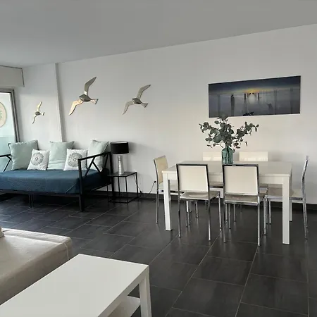 公寓 Le Plein Sud 85 M2 2 Mn A Pied 卡内